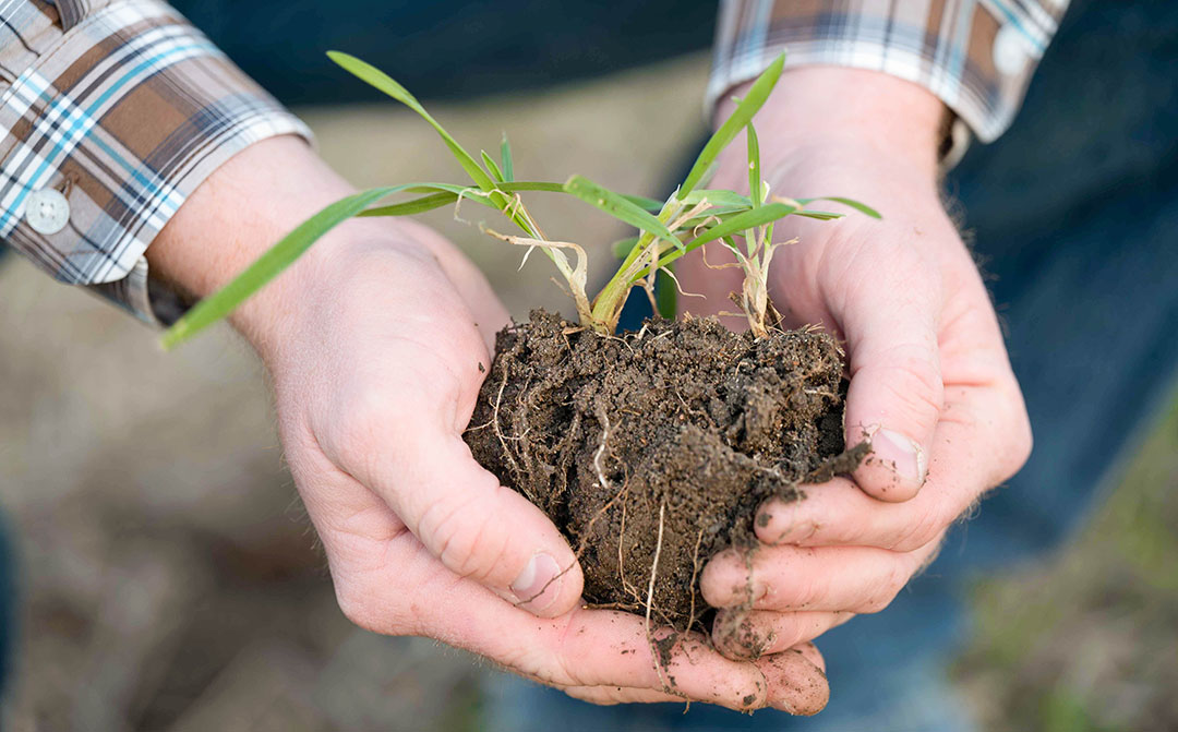 Make The Most Of Your Fertilizer Investments | 4R Event